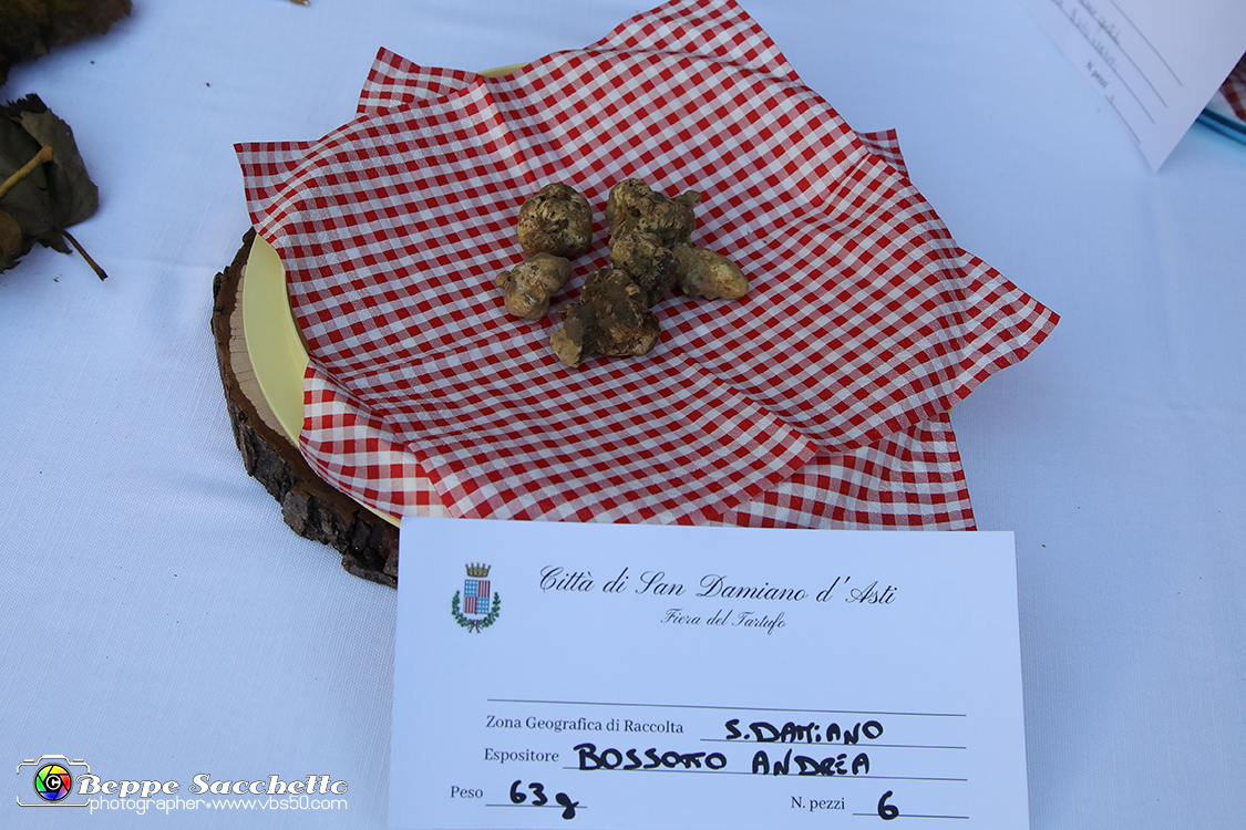 VBS_5517 - 10.ma Fiera Nazionale del Tartufo e Fiera dei Santi.jpg